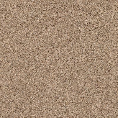 Shaw Floors Foundations Elemental Mix I Net Arrowhead 00770_E9677