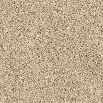 Shaw Floors Foundations Elemental Mix II Net Sand Castle 00174_E9678