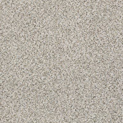 Shaw Floors Foundations Elemental Mix III Net Snowbound 00178_E9679