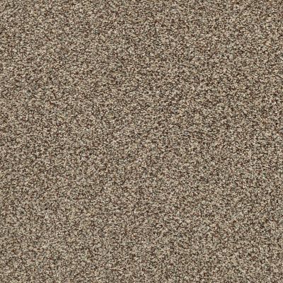 Shaw Floors Pet Perfect Plus Perpetual II Freckles 00109_E9693