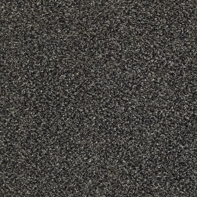 Shaw Floors Pet Perfect Plus Perpetual II Truffle 00506_E9693