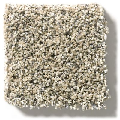 Shop Shaw Floors Bellera Perpetual II Khaki 00700_E9693 ...
