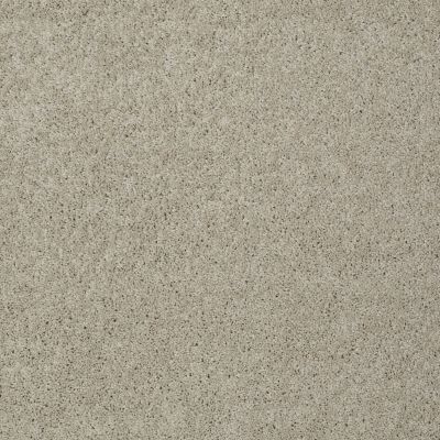 Shaw Floors Foundations Keen Senses I Barista 00191_E9714