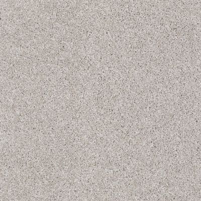 Shaw Floors Foundations Always Ready I Studio Taupe 00194_E9717