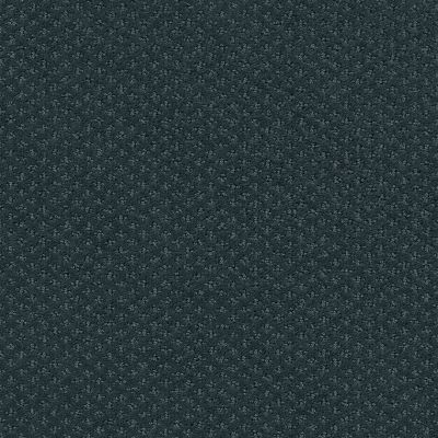 Shaw Floors Foundations Infallible Instinct Moon Bay 00481_E9721