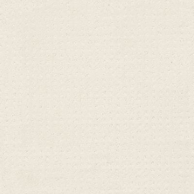 Shaw Floors Foundations Alluring Disposition Crisp Linen 00171_E9724