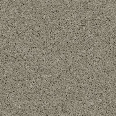 Shaw Floors Foundations Keen Senses I Net Slate 00570_E9767
