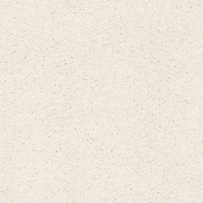 Shaw Floors Foundations Always Ready I Net Crisp Linen 00171_E9770