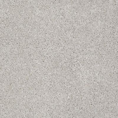 Shaw Floors Foundations Always Ready I Net Realist 00196_E9770