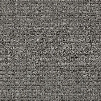 Shaw Floors Foundations Sensible Now Net Metal 00577_E9773