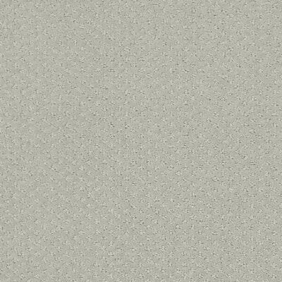 Shaw Floors Foundations Infallible Instinct Net Offshore Mist 00477_E9774