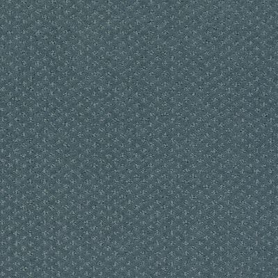 Shaw Floors Foundations Infallible Instinct Net Voyage 00480_E9774