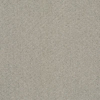 Shaw Floors Foundations Infallible Instinct Net Silhouette 00570_E9774