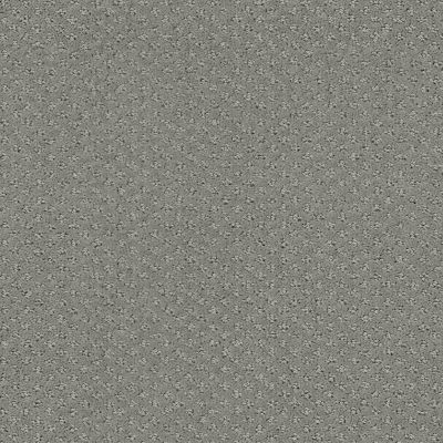 Shaw Floors Foundations Infallible Instinct Net Metal 00577_E9774