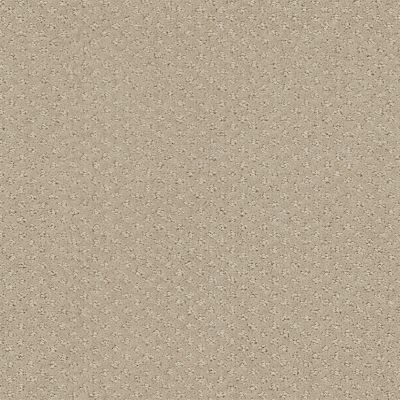 Shaw Floors Foundations Infallible Instinct Net Park Avenue 00770_E9774