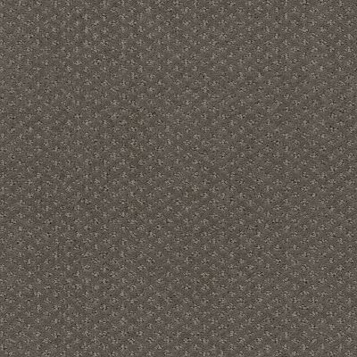 Shaw Floors Foundations Infallible Instinct Net Front Gate 00773_E9774