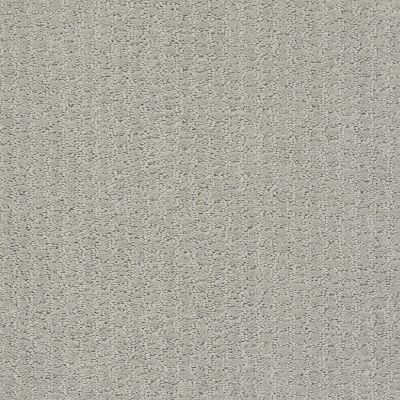 Shaw Floors Foundations Complete Control Net Offshore Mist 00477_E9775
