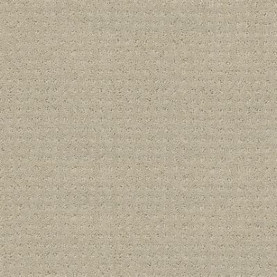 Shaw Floors Foundations Alluring Disposition Net Mindful 00190_E9777