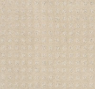 Shaw Floors Foundations Alluring Disposition Net Barista 00191_E9777