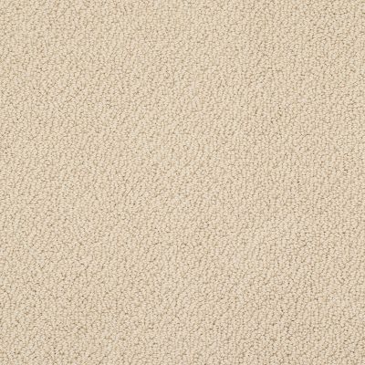 Shaw Floors Foundations Smart Thinking Net Golden Rule 00185_E9778