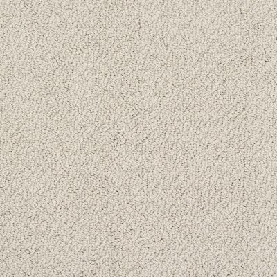 Shaw Floors Foundations Smart Thinking Net Barista 00191_E9778