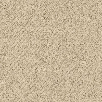 Shaw Floors Foundations Smart Thinking Net Espresso 00192_E9778