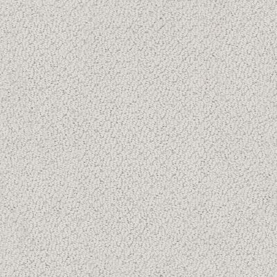 Shaw Floors Foundations Smart Thinking Net Silver Charm 00560_E9778