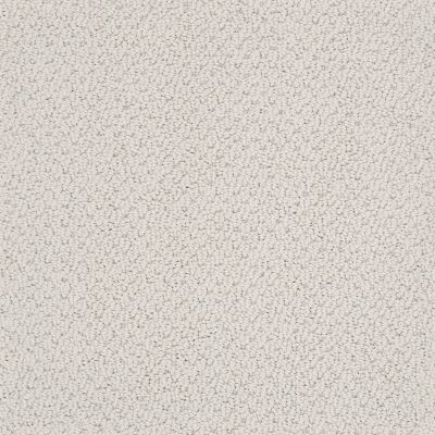Shaw Floors Foundations Smart Thinking Net Morning Mist 00591_E9778