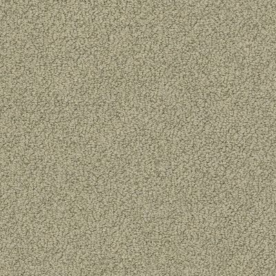 Shaw Floors Foundations Smart Thinking Net Mocha 00790_E9778