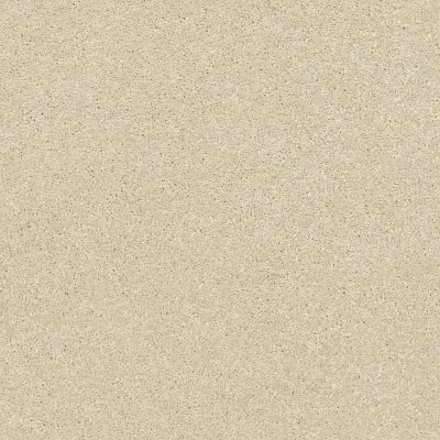 Shaw Floors Bellera Basic Rules Net Eggshell 00102_E9782