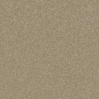Shaw Floors Pet Perfect Plus Basic Rules Net Khaki 00700_E9782