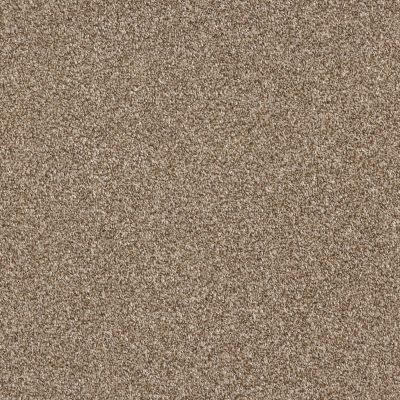 Shaw Floors Pet Perfect Plus Just A Hint I Net Bronze 00602_E9783