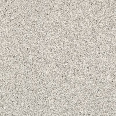 Shaw Floors Pet Perfect Plus Just A Hint II Net Creamery 00103_E9784