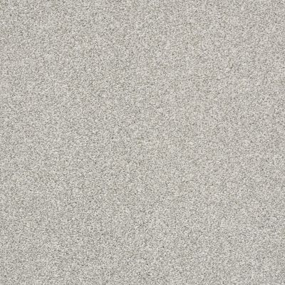 Shaw Floors Pet Perfect Plus Just A Hint II Net Dew 00106_E9784