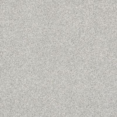 Shaw Floors Pet Perfect Plus Just A Hint II Net Mist 00107_E9784