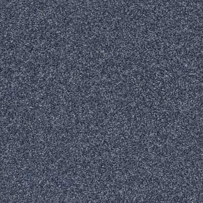 Shaw Floors Pet Perfect Plus Just A Hint II Net Indigo 00405_E9784