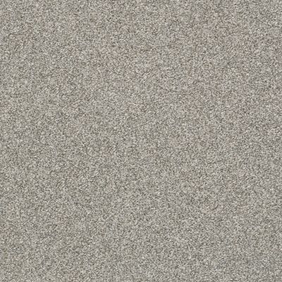 Shaw Floors Pet Perfect Plus Just A Hint II Net Sterling 00501_E9784