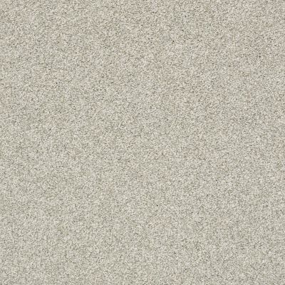 Shaw Floors Pet Perfect Plus Just A Hint II Net Fog 00503_E9784