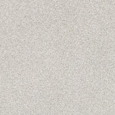 Shaw Floors Pet Perfect Plus Just A Hint II Net Nickel 00510_E9784
