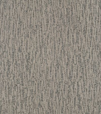 Shaw Floors Pet Perfect Plus Obvious Choice Net Sterling 00501_E9791