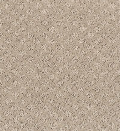 Shaw Floors Foundations Entwined With You Studio Taupe 00173_E9808