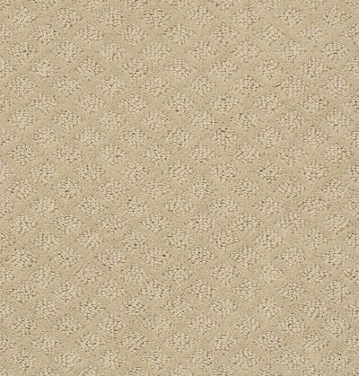 Shaw Floors Foundations Entwined With You Boutique 00184_E9808