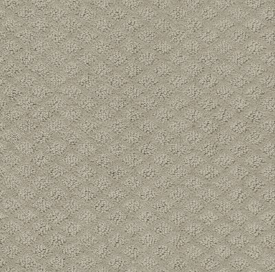 Shaw Floors Foundations Entwined With You Net Silhouette 00570_E9809