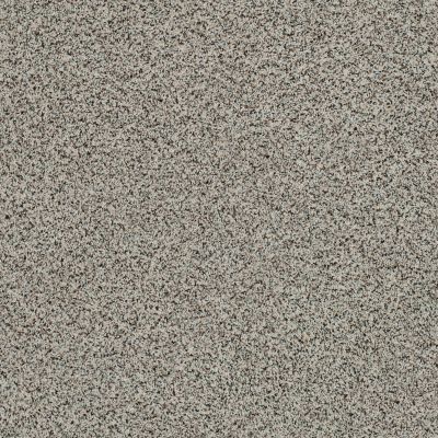 Shaw Floors Endura Lamb 0135A_E9845