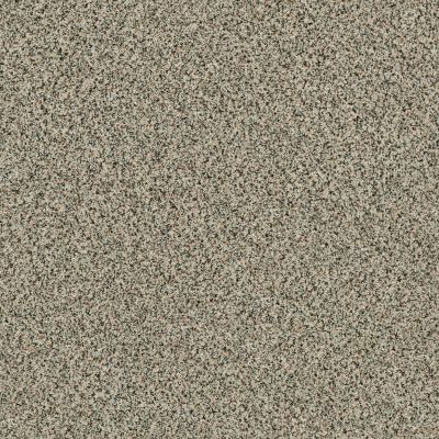 Shaw Floors Endura Dartmoor 0136A_E9845