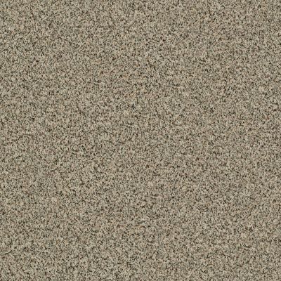 Shaw Floors Endura Raw Sugar 0252A_E9845