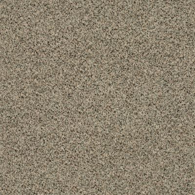 Shaw Floors Endura Wensleydale 0733A_E9845