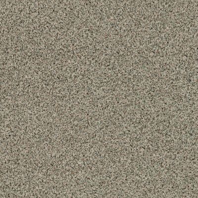 Shaw Floors Endura Spindle 0751A_E9845