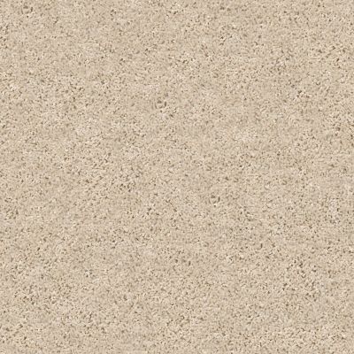 Shaw Floors Value Collections Shake It Up Solid Net Sea Floor 00110_E9857