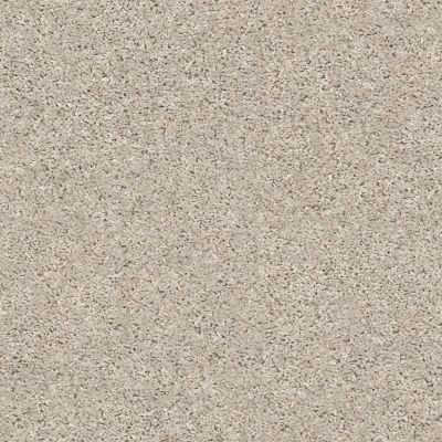 Shaw Floors Value Collections Shake It Up Solid Net Beech 00112_E9857
